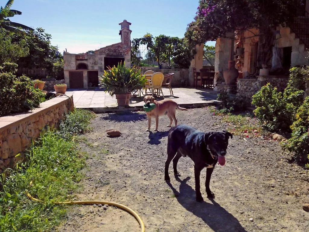 Villa Can Juanito Порто Кристо